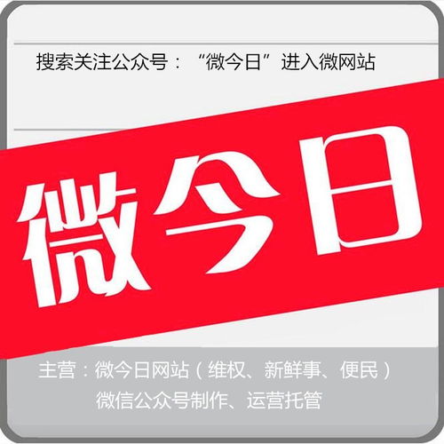 合肥市微今日網(wǎng)絡服務 驅(qū)動城市數(shù)字化轉(zhuǎn)型的智慧引擎